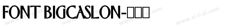 FONT BIGCASLON字体转换 FONT BIGCASLON字体转换
